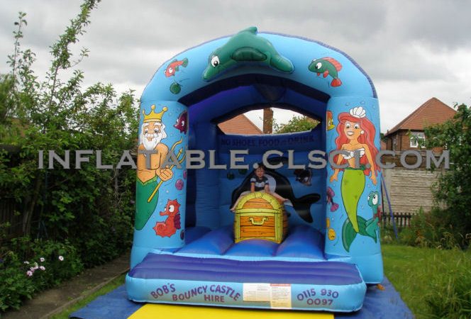 Buying T2-2201 Inflatable Bouncer in the USA