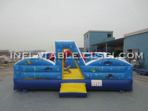 Buying T2-2467 Inflatable Bouncers in the USA