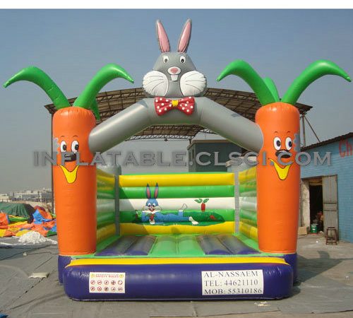 Buying T2-2536 Inflatable Bouncers in the USA