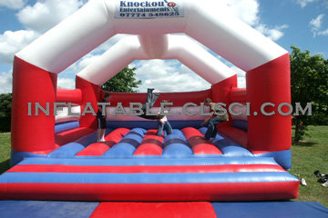 Buying T2-1750 Inflatable Bouncer in the USA