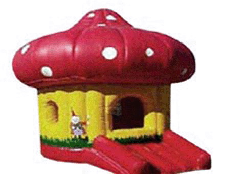 Buying T1-151 inflatable bouncer in the USA